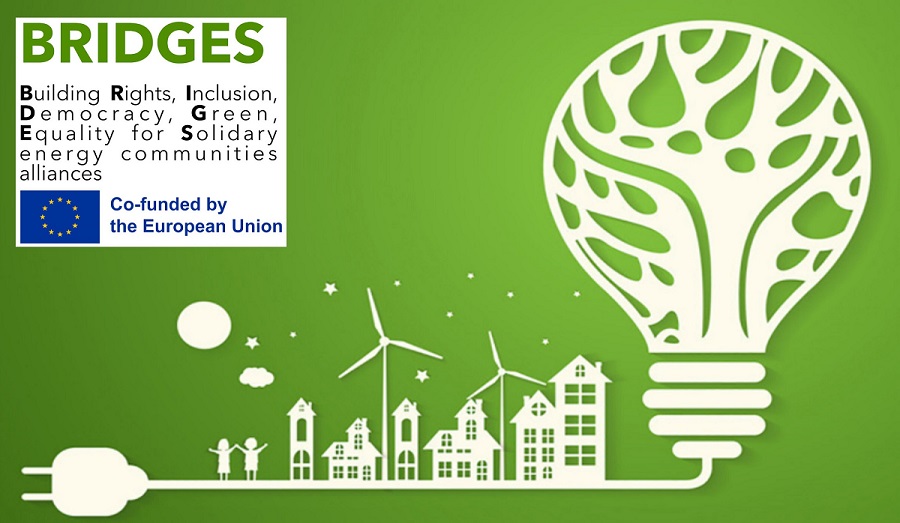 Logo progetto BRIDDES, lamapdina su sfondo verde